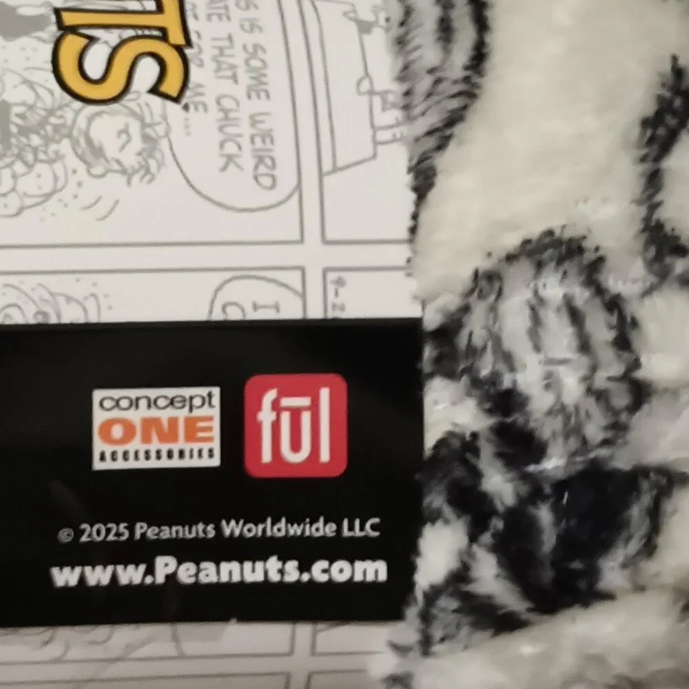 Copy of Brand NEW! Snoopy and Woodstock Travel Throw Blanket (40